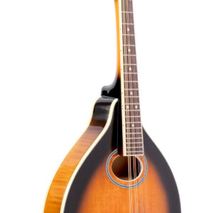 GM-50+: A-Style Mandolin with Pickup and Bag