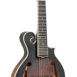 F-6: F-style Mando-Guitar - 12-String Variant
