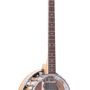 GT-750: Banjitar Deluxe with Case