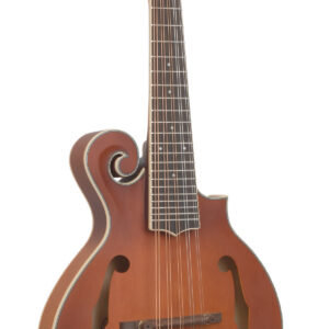 F-10: 10-String F-Style Mandolin with Pickup and Case
